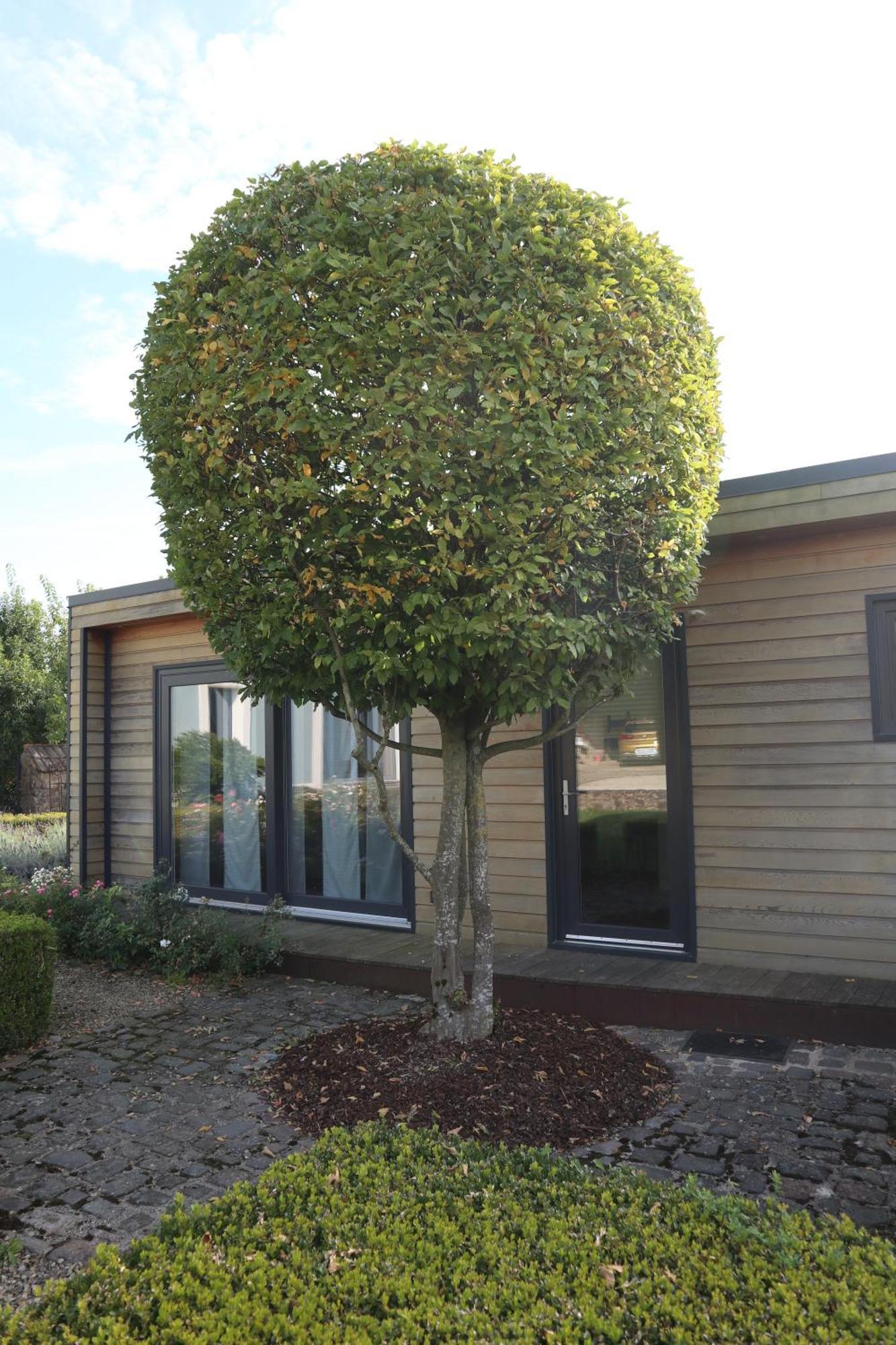 佩尔Tinyhouse公寓 外观 照片